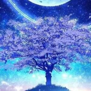 Meet your Posher, Chantal